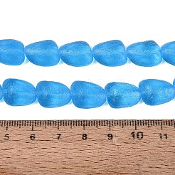 Frosted Handmade Lampwork Beads Strands&nbsp;LAMP-Q041-06B