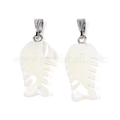 Natural Trochus Shell Pendants&nbsp;SSHEL-T017-43