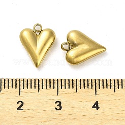304 Stainless Steel Pendants&nbsp;STAS-L022-108G-07