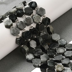 Natural Eagle Eye Stone Beads Strands&nbsp;G-P534-A14-01
