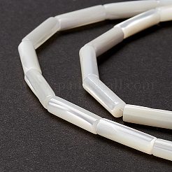 Natural Trochid Shell/Trochus Shell Beads&nbsp;X-SSHEL-O001-26B