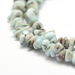 Natural Larimar Beads Strands&nbsp;G-P302-03