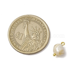 Natural Trochus Shell Nuggets Charms with Brass Loops&nbsp;PALLOY-JF03586-01