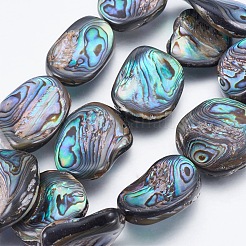 Natural Abalone Shell/Paua Shell Beads Strands&nbsp;SSHEL-P014-04