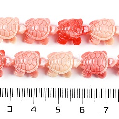 Synthetic Shell Dyed Carved Beads Strands&nbsp;SHEL-C008-02