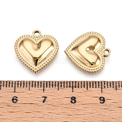 304 Stainless Steel Pendants&nbsp;STAS-N109-68G