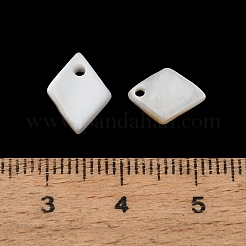Natural Freshwater Shell Pendants&nbsp;SH-CBA93AD-09