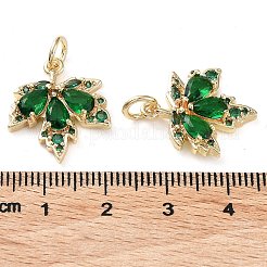 Rack Plating Brass Clear Cubic Zirconia Pendants&nbsp;KK-B078-02G14-02