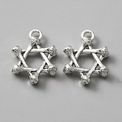 Tibetan Style Alloy Pendants&nbsp;FIND-CJC0012-046
