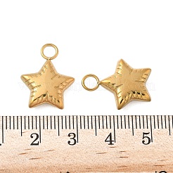 304 Stainless Steel Pendants&nbsp;STAS-K306-13G