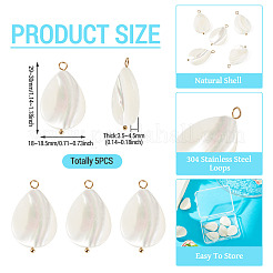 5Pcs Natural Shell Teardrop Pendants&nbsp;SHEL-TA0001-37