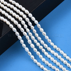 Natural Cultured Freshwater Pearl Beads Strands&nbsp;PEAR-N012-03F