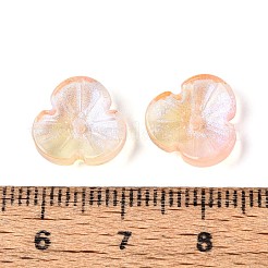 Baking Paint Transparent Glass Bead Caps&nbsp;DGLA-N014-09B-03