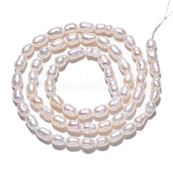 Natural Cultured Freshwater Pearl Beads Strands&nbsp;PEAR-N012-03D