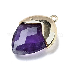 Natural Amethyst Pendants&nbsp;G-U019-03B-04