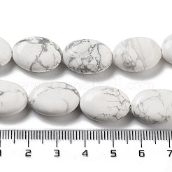 Natural Howlite Beads Strands&nbsp;G-P528-M12-01
