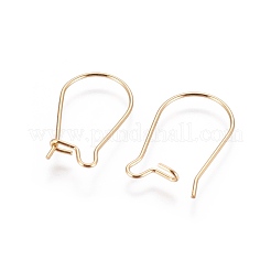 304 Stainless Steel Hoop Earring Finding&nbsp;STAS-E464-06G