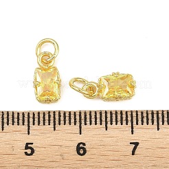 Brass Pave Cubic Zirconia Charms&nbsp;KK-K340-50G-09