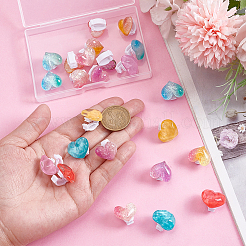 24Pcs 12 Colors Heart Transparent Resin Glitter Powder Shoe Buckle Clips&nbsp;HJEW-HY00163