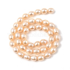 Natural Cultured Freshwater Pearl Beads Strands&nbsp;PEAR-I007-01D-01B