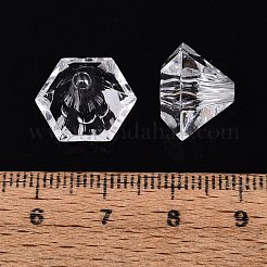 Transparent Acrylic Beads&nbsp;TACR-ZX019-14