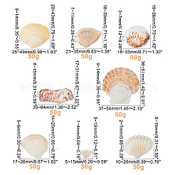 Natural Sea Shell Beads Kits&nbsp;SSHEL-PH0002-49