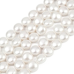 Electroplated Shell Pearl Beads Strands&nbsp;BSHE-G027-13B