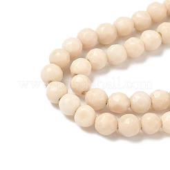 Natural Fossil Beads Strands&nbsp;G-K209-05D-4mm