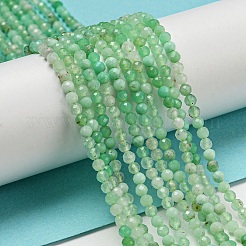 Natural Chrysoprase Beads Strands&nbsp;G-A097-A16-03