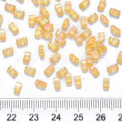 FGB 2-Hole Baking Paint Transparent Glass Seed Beads&nbsp;X-SEED-S031-M-251