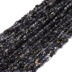 Natural Iolite/Cordierite/Dichroite Beads Strands&nbsp;G-I389-A34-01A