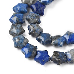Natural Lapis Lazuli Star Beads Strands&nbsp;G-Z080-A05