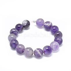 Natural Amethyst Beads Strands&nbsp;G-G791-11-B04