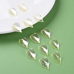 Transparent Acrylic Beads&nbsp;MACR-S373-103-C