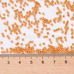 Cylinder Seed Beads&nbsp;X-SEED-H001-G10