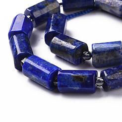 Natural Lapis Lazuli Beads Strands&nbsp;X-G-S345-8x11-002