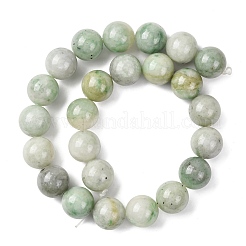 Natural Chinese Jade Beads Strands&nbsp;G-A310-A02-16mm