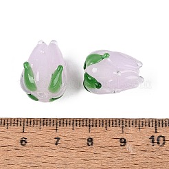 Handmade Lampwork Beads&nbsp;LAMP-N042-02B