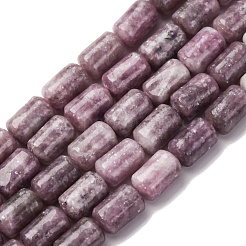 Natural Lepidolite Beads Strands&nbsp;G-F808-B01-01