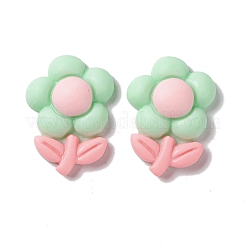 Spray Painted Resin Cabochons&nbsp;RESI-G031-15