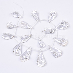 Spray Painted Natural Freshwater Shell Beads Strands&nbsp;SHEL-S276-69C