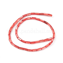 Natural Freshwater Shell Dyed Beads Strands&nbsp;SHEL-M018-11-07