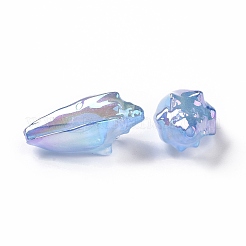 UV Plating Rainbow Iridescent Acrylic Beads&nbsp;OACR-E007-04
