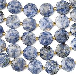 Natural Blue Spot Jasper Beads Strands&nbsp;G-A292-A10-01