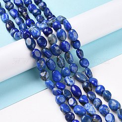 Natural Lapis Lazuli Beads Strands&nbsp;G-F575-01E