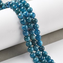 Natural Apatite Beads Strands&nbsp;G-O186-G01-01