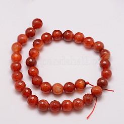 Natural Striped Agate/Banded Agate Bead Strands&nbsp;X-G-G882-10mm-D03