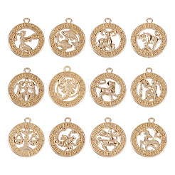 Zinc Alloy Jewelry Pendant Accessories&nbsp;FIND-FW0001-03A