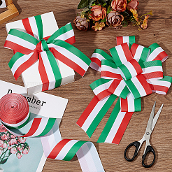 20Yards Polyester Ribbon&nbsp;OCOR-PH0006-51B