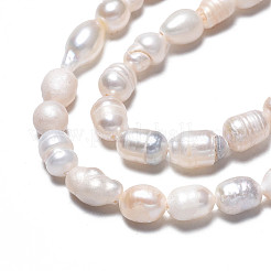 Natural Cultured Freshwater Pearl Beads Strands&nbsp;X-PEAR-N012-05F